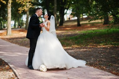 İnanılmaz genç muhteşem yeni evli çift bir yürüyüş alarak