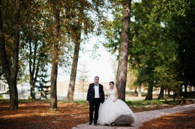 İnanılmaz genç muhteşem yeni evli çift bir yürüyüş alarak