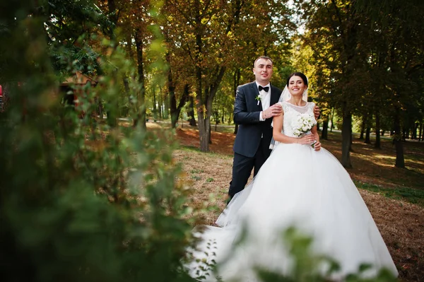 İnanılmaz genç muhteşem yeni evli çift bir yürüyüş alarak