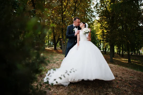 İnanılmaz genç muhteşem yeni evli çift bir yürüyüş alarak