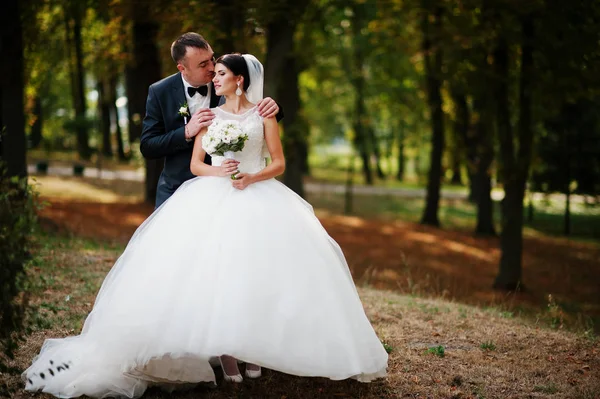 İnanılmaz genç muhteşem yeni evli çift bir yürüyüş alarak