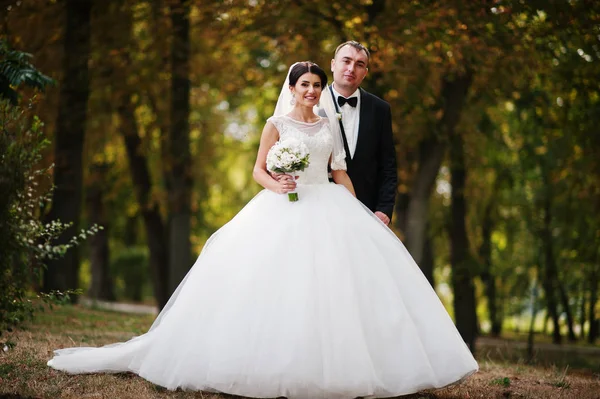 Increíble joven hermosa pareja recién casada dando un paseo en el —  Fotos de Stock