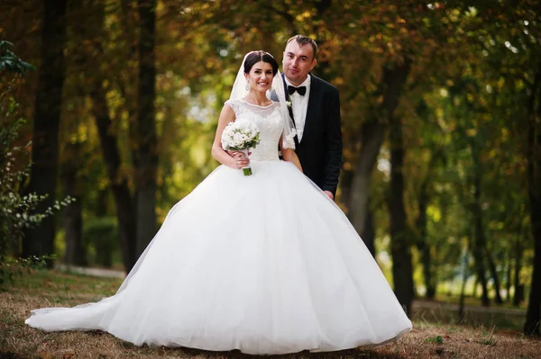 İnanılmaz genç muhteşem yeni evli çift bir yürüyüş alarak