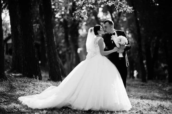 그들의 w에 공원에서 키스 하는 근사 하 고 매력적인 신혼 부부 — 스톡 사진