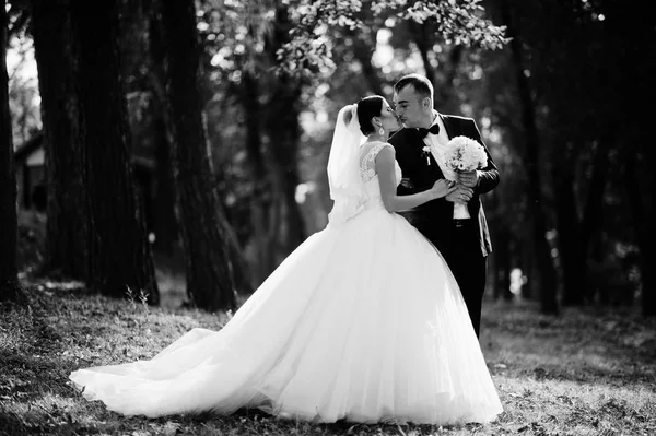 Stunning and attractive newlyweds kissing in the park on their w — Stock Photo, Image