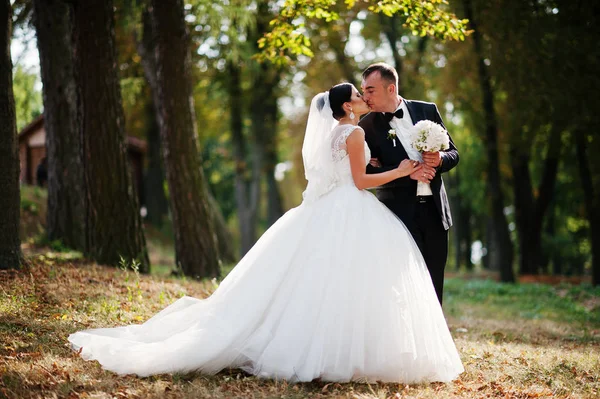 Impressionante e atraente recém-casados beijando no parque em seu w — Fotografia de Stock