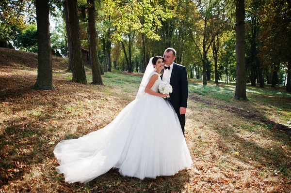 Amazing young gorgeous newly married couple taking a walk in the — Stock Photo, Image