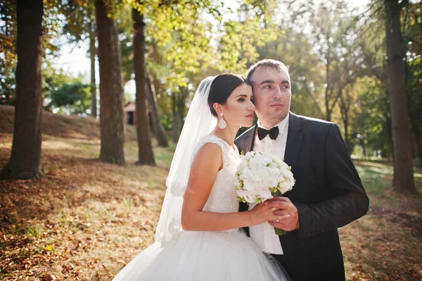 Amazing young gorgeous newly married couple taking a walk in the — Stock Photo, Image