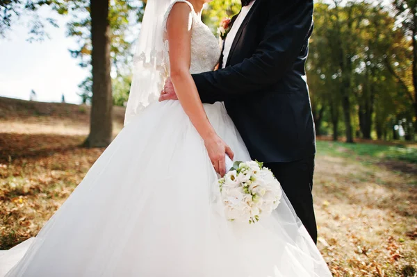 Amazing young gorgeous newly married couple taking a walk in the — Stock Photo, Image