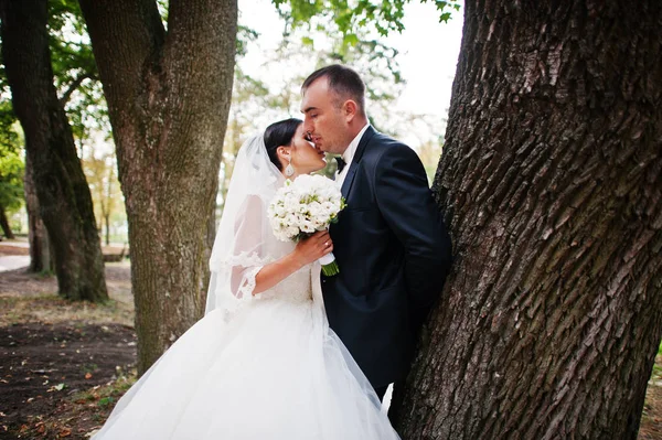 Fantastisk ung Ursnygg nyligen gift par att ta en promenad i den — Stockfoto