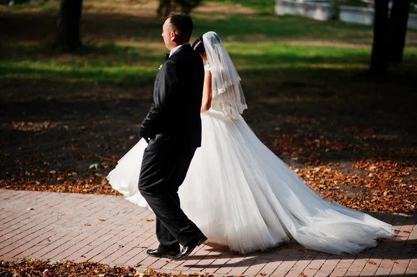 İnanılmaz genç muhteşem yeni evli çift bir yürüyüş alarak