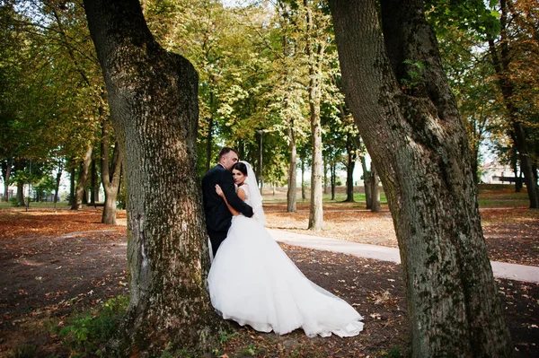 İnanılmaz genç muhteşem yeni evli çift bir yürüyüş alarak