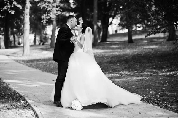 Incrível jovem lindo casal recém-casado dando um passeio no — Fotografia de Stock