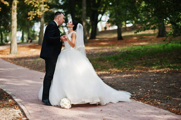 İnanılmaz genç muhteşem yeni evli çift bir yürüyüş alarak