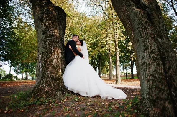 Increíble joven hermosa pareja recién casada dando un paseo en el — Foto de Stock