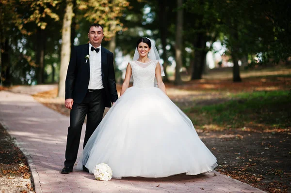 İnanılmaz genç muhteşem yeni evli çift bir yürüyüş alarak