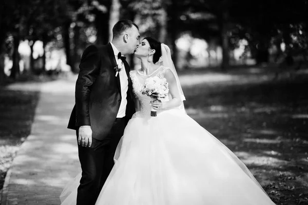 Ohromující a atraktivní novomanželé líbání v parku na jejich w — Stock fotografie