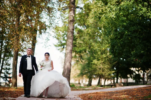 놀라운 영 화려한 새로 결혼에서 산책 하는 커플은 — 스톡 사진
