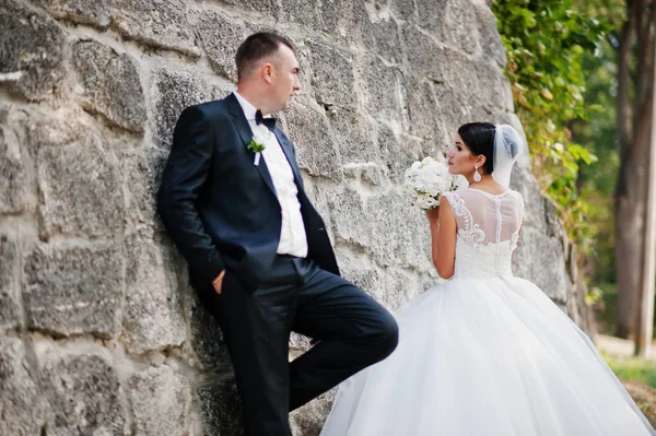 Şık Düğün çifti karşı büyük birbirlerinin şirket zevk 