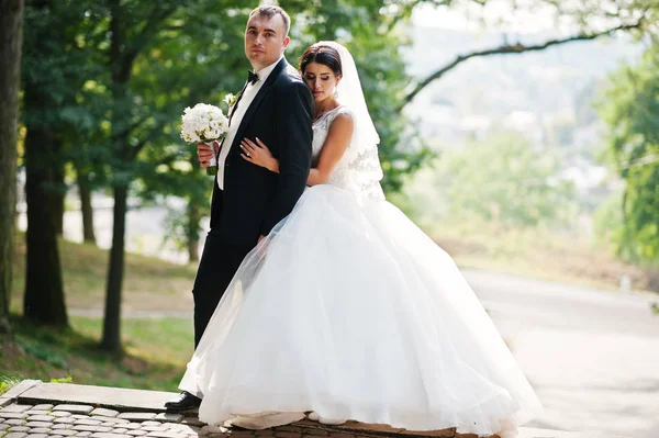 İnanılmaz genç muhteşem yeni evli çift bir yürüyüş alarak