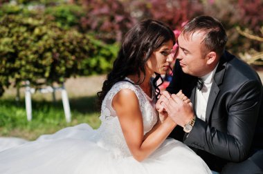 Çarpıcı bir gard çimlere oturup muhteşem Düğün çifti