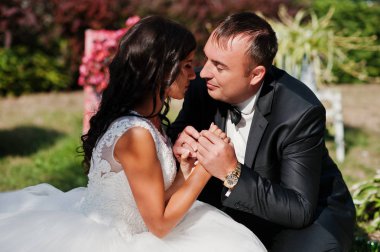 Çarpıcı bir gard çimlere oturup muhteşem Düğün çifti