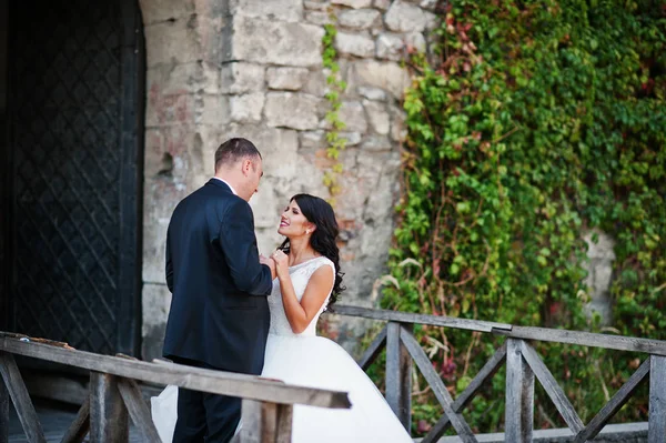 İnanılmaz genç çekici yeni evli iki yürüyor ve poz