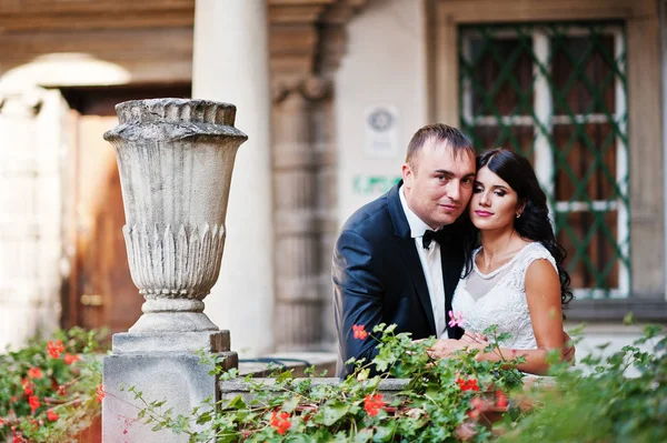 Incrível jovem atraente casal recém-casado andando e posando — Fotografia de Stock