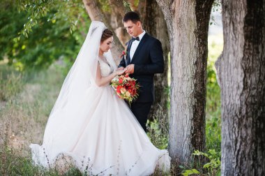 Harika Düğün çifti PA birbirlerinin şirket zevk