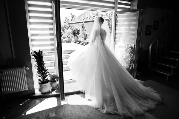 Retrato de uma noiva fabulosa posando em sua casa no casamento — Fotografia de Stock
