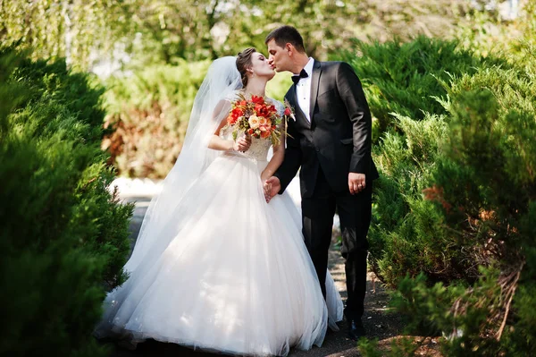 Harika Düğün çifti PA birbirlerinin şirket zevk