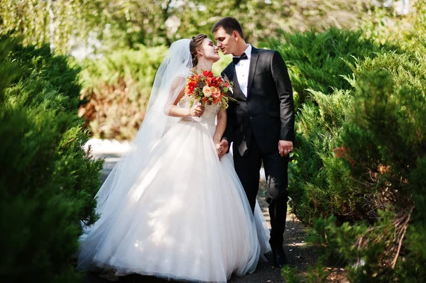 Φανταστική γαμήλιο ζεύγος απολαμβάνοντας εταιρείας του άλλου για την ΠΑ — Φωτογραφία Αρχείου