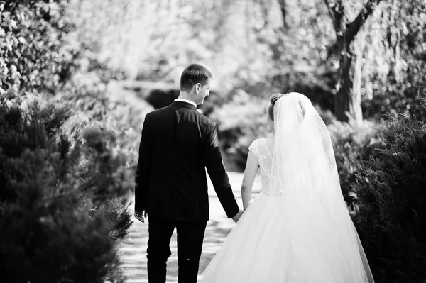 Fantastic wedding couple enjoying each other's company in the pa — Stock Photo, Image