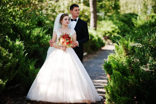 Fantástica pareja de boda disfrutando de la compañía del otro en el pa —  Fotos de Stock