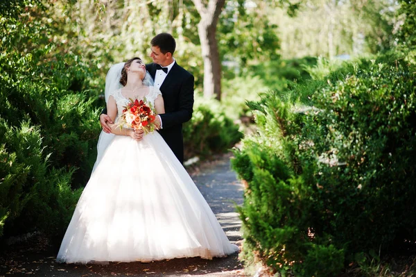 Fantastische bruidspaar genieten van elkaars gezelschap in de pa — Stockfoto