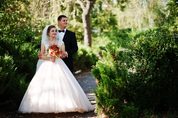 Fantastische bruidspaar genieten van elkaars gezelschap in de pa — Stockfoto