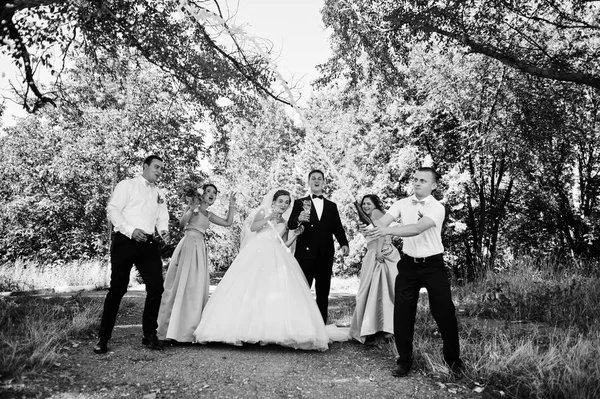 Yürüyüş ve sağdıç ile eğleniyor güzel düğün çifti bir