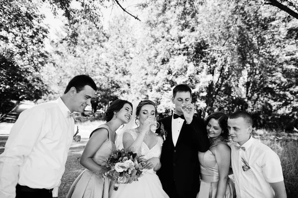 Gyönyörű esküvői pár gyaloglás és birtoklás móka-val groomsmen egy — Stock Fotó