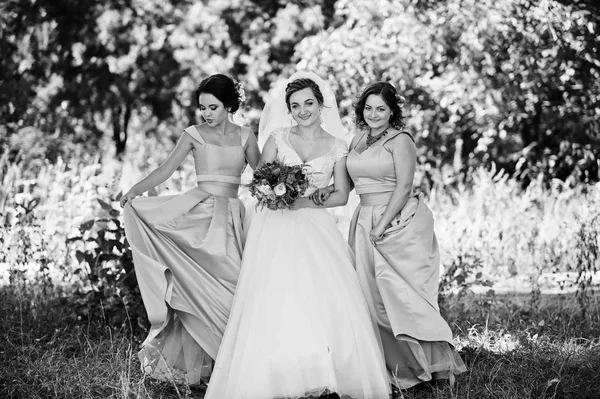 Glücklich Braut Spaß mit ihren coolen Spaß Brautjungfern im Park — Stockfoto