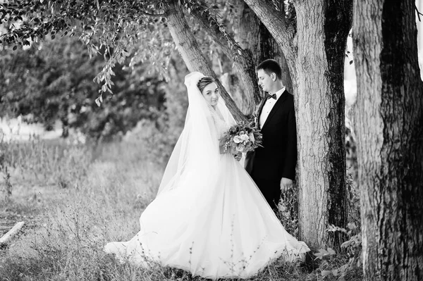 Casal de casamento fantástico curtindo a companhia um do outro no pa — Fotografia de Stock