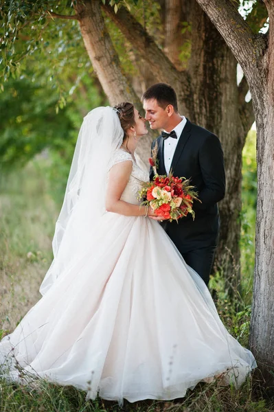 Fantastic wedding couple enjoying each other's company in the pa — Stock Photo, Image