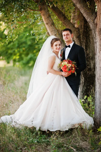 Fantastische bruidspaar genieten van elkaars gezelschap in de pa — Stockfoto