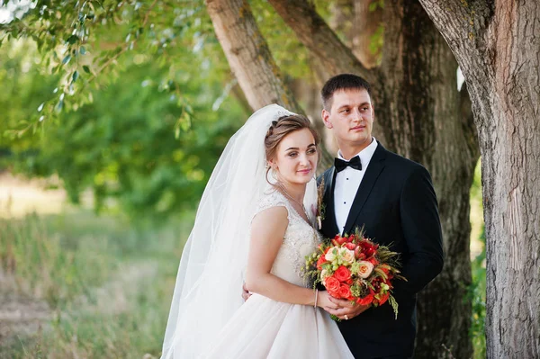 Fantástica pareja de boda disfrutando de la compañía del otro en el pa —  Fotos de Stock