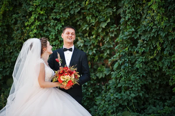 Fantástica pareja de boda disfrutando de la compañía del otro en el pa —  Fotos de Stock