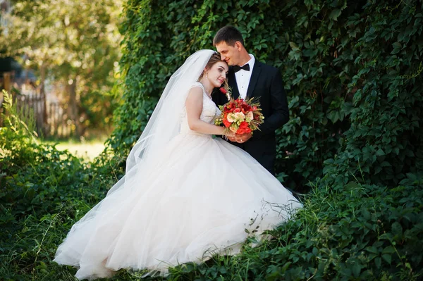 Fantástica pareja de boda disfrutando de la compañía del otro en el pa —  Fotos de Stock