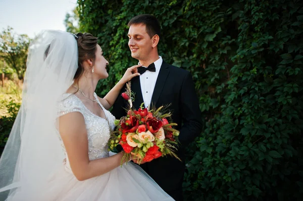 Harika Düğün çifti PA birbirlerinin şirket zevk