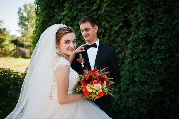 Casal de casamento fantástico curtindo a companhia um do outro no pa — Fotografia de Stock