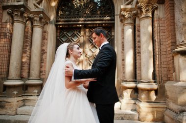 Güzel birbirlerinin şirket zevk çarpıcı Düğün çifti