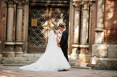 Güzel birbirlerinin şirket zevk çarpıcı Düğün çifti