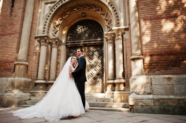 Güzel birbirlerinin şirket zevk çarpıcı Düğün çifti